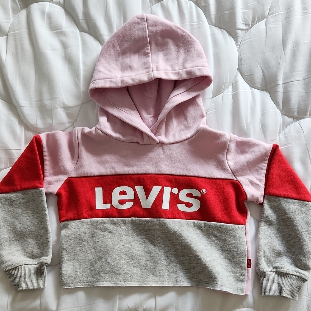 Levi's Kids Pink and Red Hoodie